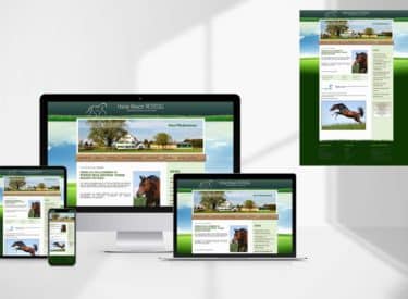HORSE RESORT ROTEGG WEBDESIGN PFERDE REHA ZENTRUM