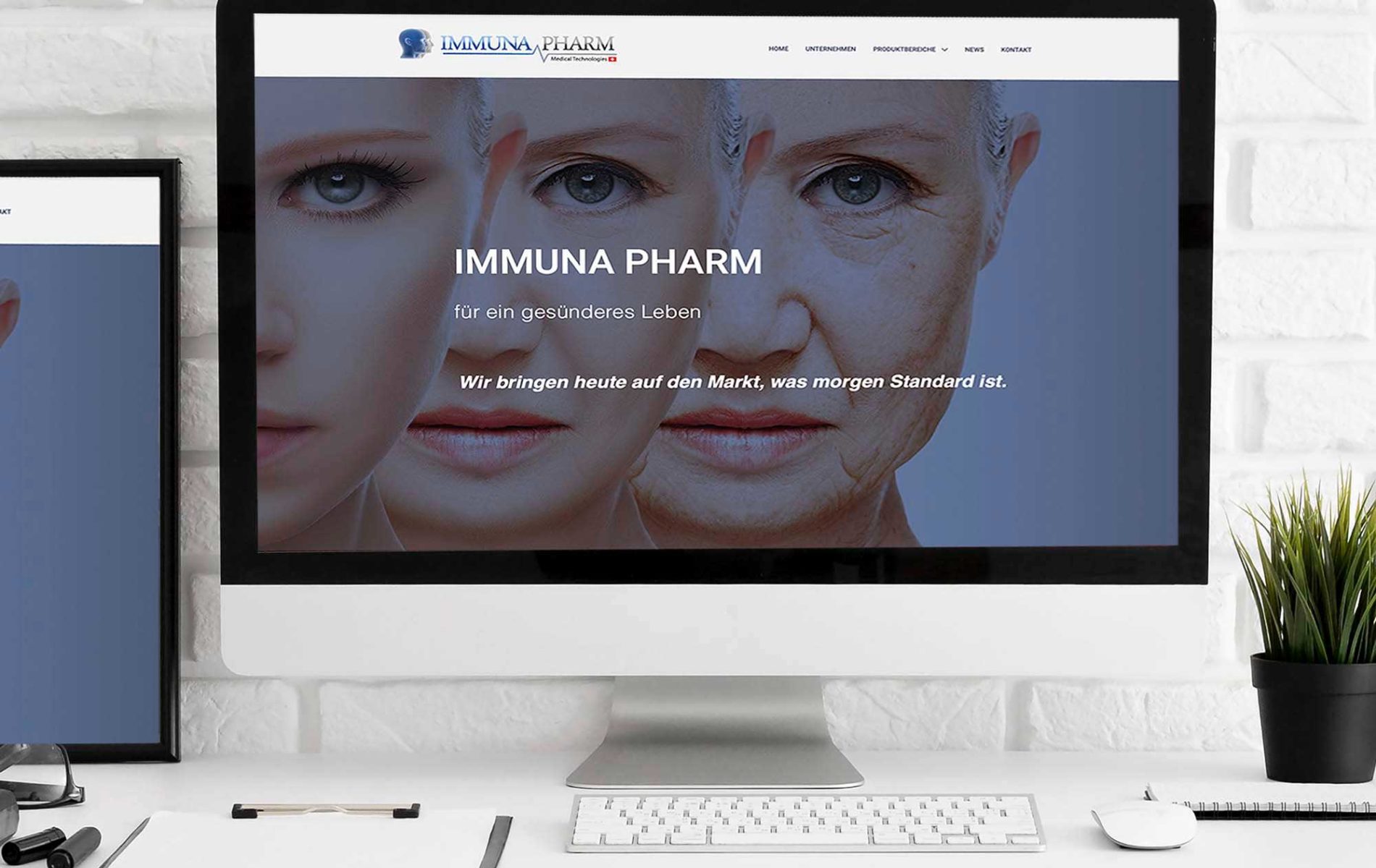 portfolio