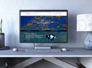 FINDYOURCORAL KAUFERING AQUARISTIK WEBDESIGN